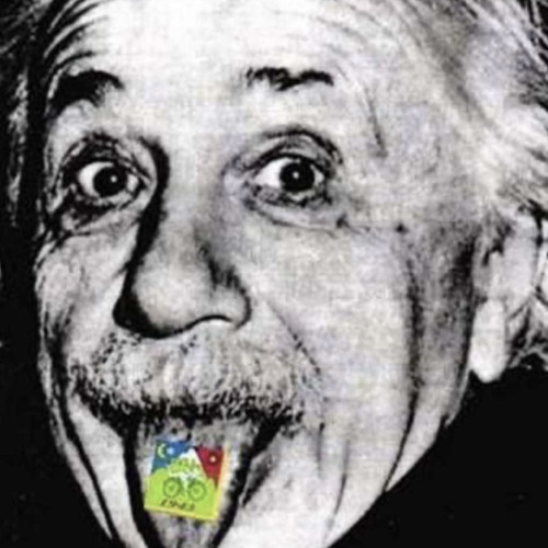 Einsteins Theory of General Pingitivity - DNB MIX