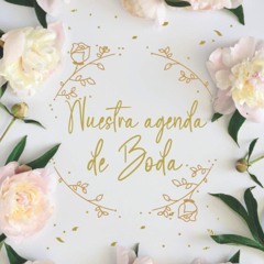 ⚡[PDF]✔ El diario de la novia - Agenda para boda - Planificador de boda: Cuadern