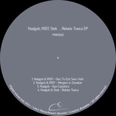 Boggy & R107 - Deci Tu Esti Sven Vath [PNH040] (snippet)