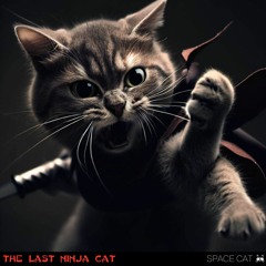 The Last Ninja Cat (poem inside)