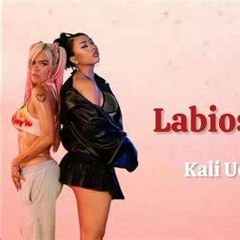 Kali Uchis & KAROL G - Labios Mordidos (Vicente M Tech Remix)DESCARGA FREE