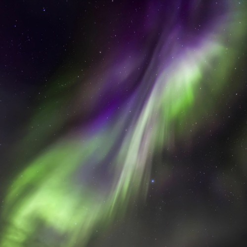 Borealis