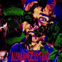 Junkzz - AUSNAHMEZUSTAND