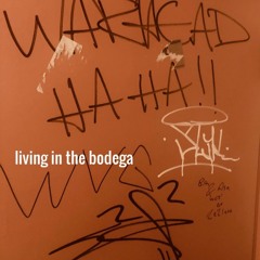living in the bodega