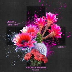 Premiere: Vincent Casanova - Hidden [ebb + flow]