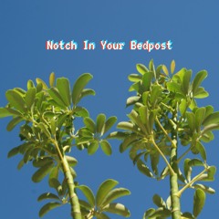 Notch In Your Bedpost
