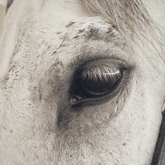 Long Way From Home (Ci - Remix)