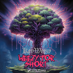 KeyWeezy - Never Miss