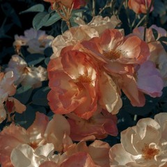 Antiheroes - Tu Sufrimiento