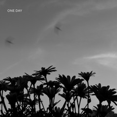 ambit. - one day