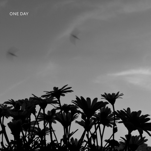 ambit. - one day