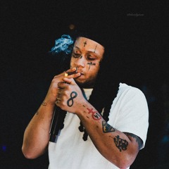 Gemini-Trippie Redd