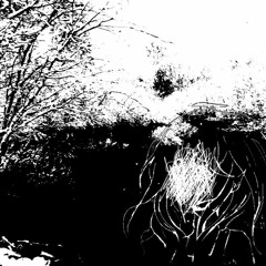 psychosis