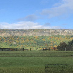 Autumn Leaves 12:26:20