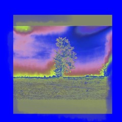 ROOT#2