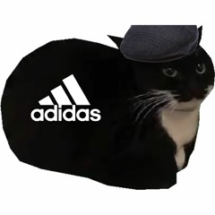 Максвелл Кэт