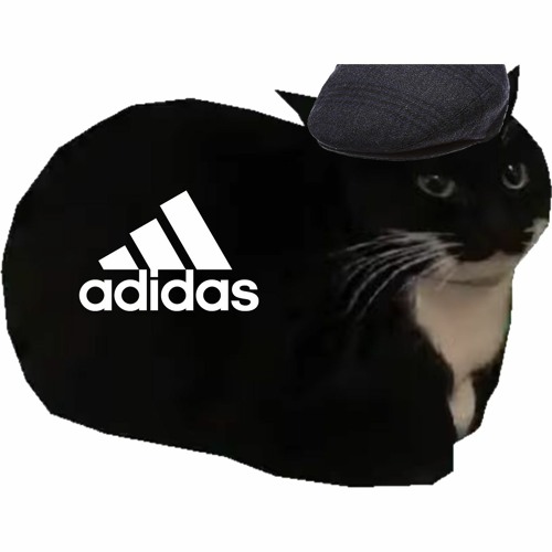 Максвелл Кэт