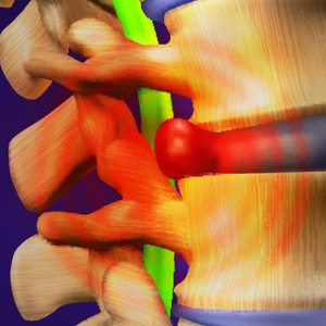 Georgie‘s Endendaans