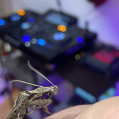 Pakosch‘s >IN LOVE WITH TECHNO< (~150BPM)