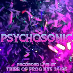 Psychosonic - Recorded at TRiBE of FRoG NYE 2024-25