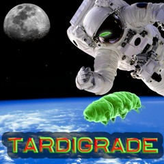 Paradocson Tardigrade