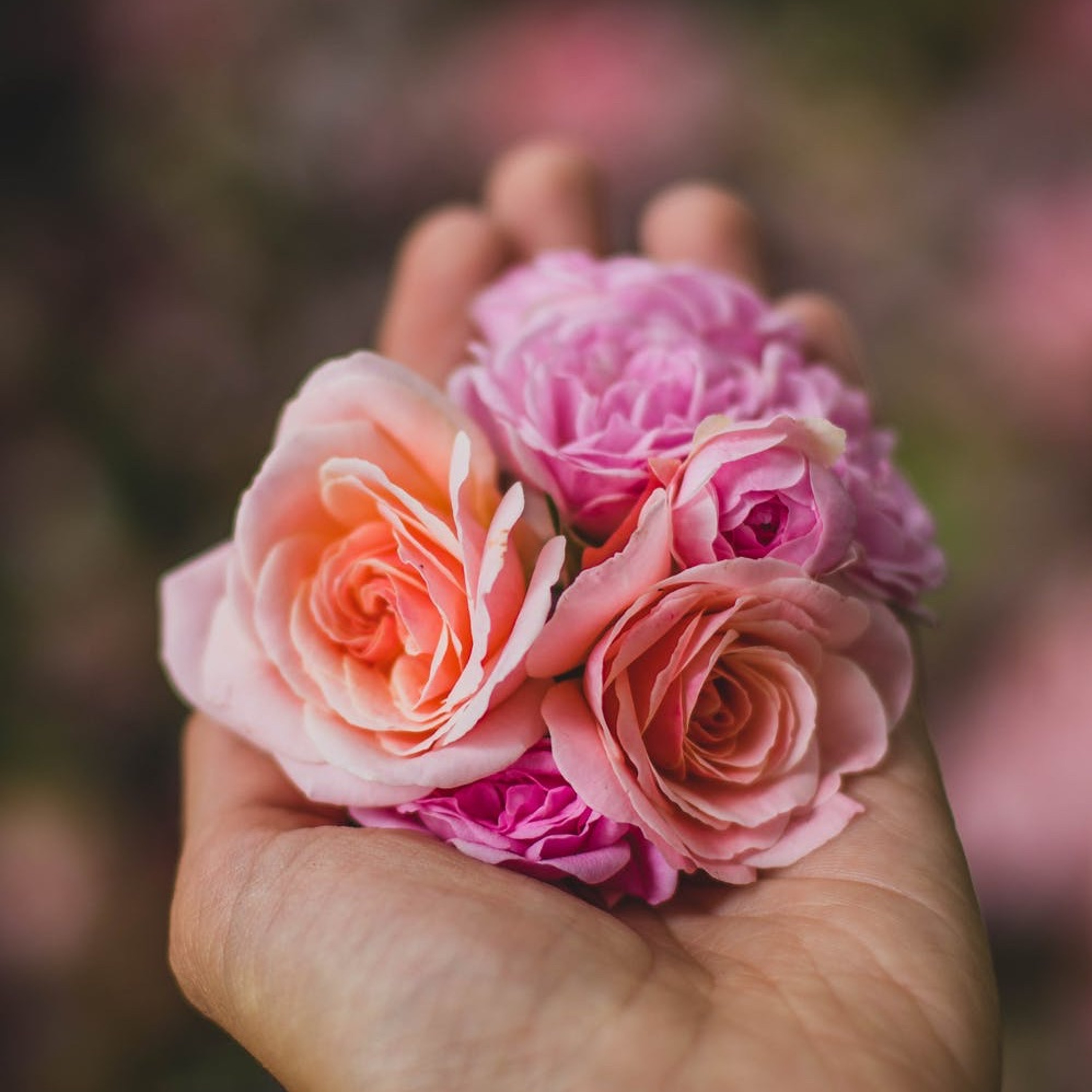 Talking Joy Podcast