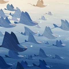 Flight of manta rays
