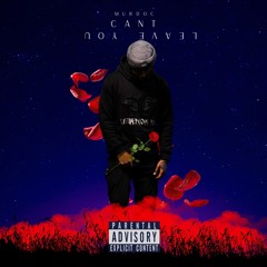 Can’t Leave you alone