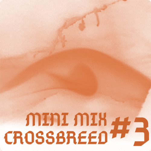 MINIMIX-CROSSBREED-3-REC-2025-09-26