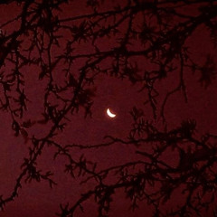 808 Sanchez - Crescent Moon 2