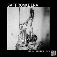 Mesh Series 013: Saffronkeira