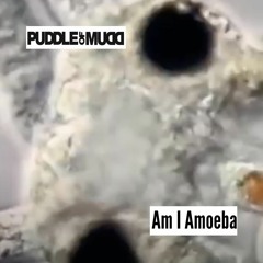 Puddle of Mudd - Am I Amoeba (1996 Demo)