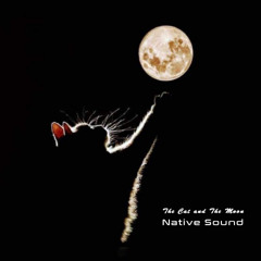 The Cat and The Moon