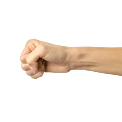 Horizontal Fist