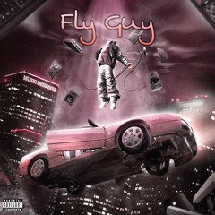 FLY GUY