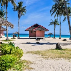 House / Beach House / Tropical House / Vocal House