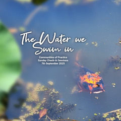 The Water we Swim in - Social Class