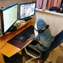 Playlista Dawidka