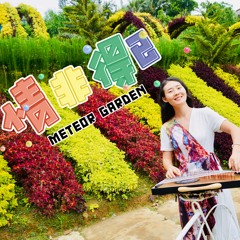 情非得已 METEOR GARDEN 流星花园 Guzheng 古筝演奏 by Mila Zeng