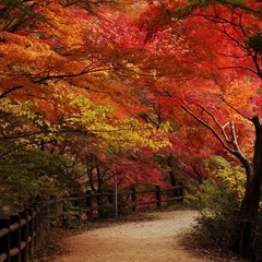 Barcarole on Autumn