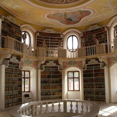 You Took That Fall (prod. Larua)