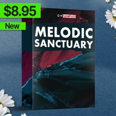 MELODIC SANCTUARY by Blanka Barbara | Piano, Synth, Pads, Arps, Bass, Drums and more