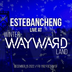 Estebancheng @ Winter Wayward Land at F8 (Christmas Party)(F8, San Francisco, CA)