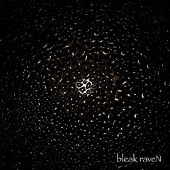 Bleak RaveN [Unmastered Demo]