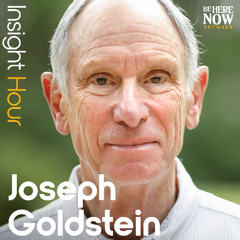 Joseph Goldstein: Self And Selfless – Insight Hour Podcast Ep. 199