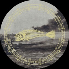 Mind | Matter - Cataclysme [VVA04 | Premiere]