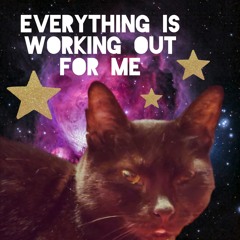 everything is working out for me meow