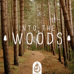 Into The Woods 🌲 - A Mysterious Indie/Folk/Pop Playlist | Vol. 2