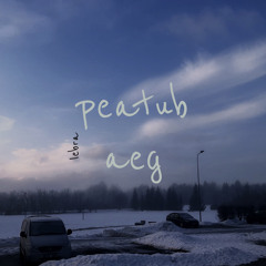 Peatub Aeg (demo)