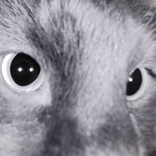 BEHOLD! HERMES TRISMEGISTUS!